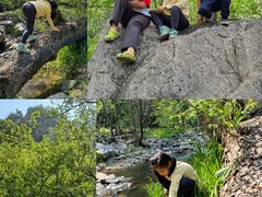 -碓臼峪自然风景区