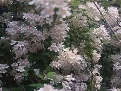 -老君堂公园