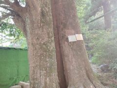 -径山寺