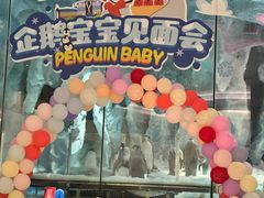 -帝企鹅自助餐厅•儿童岛•真企鹅(长隆企鹅酒店)