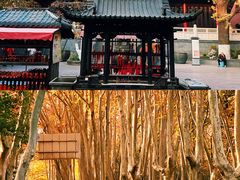 -灵谷景区