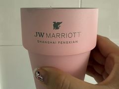 -东方美谷JW万豪酒店·The lounge大堂吧