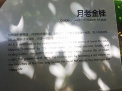 -西安曲江寒窑遗址公园