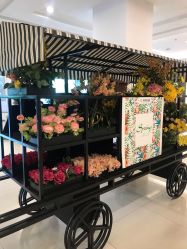 -深圳春天阳光医院·轮廓抗衰中心