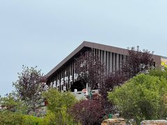 -青藏高原野生动物园