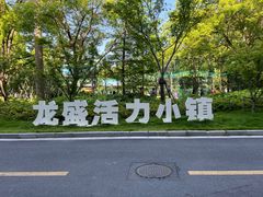 -龙盛活力小镇