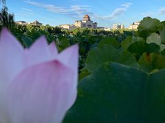 -莲花池公园