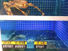 -金龙·打边炉(南京西路店)