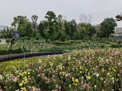 -天府芙蓉园