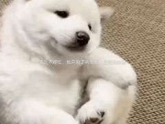 -老三样·美食研究中心(世贸路店)