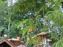 -伴山茶苑·围炉煮茶