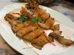 -山水茶艺馆·点心粤菜·30年老字号