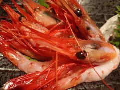 -千代武日本料理(爱建店)