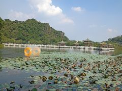 -星湖旅游景区七星岩