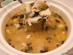 -蜀腾川·火锅鱼.烤鱼(新世界城店)