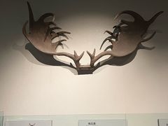 -大庆市博物馆