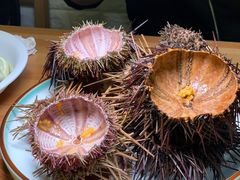 -海胆小馆(东北水饺·春柳店)