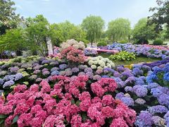 -上海鲜花港