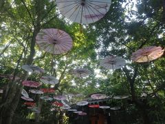 -海口观澜湖火山温泉谷
