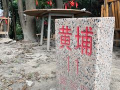 -黄埔油麻山森林公园