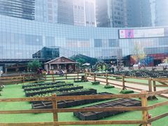 -大族广场Mall&More