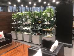-北京之星奔驰4S店(亦庄店)