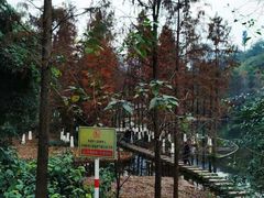 -重庆彩云湖湿地公园