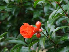 -东山风景区(洞庭东山)