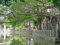 -小洲村