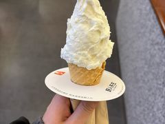 -野人先生Gelato(上海长宁龙之梦店)