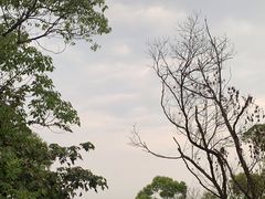 -水濂山森林公园