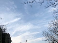 -紫金山天文台
