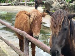 -海南热带野生动植物园