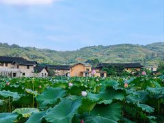 -云水谣景区
