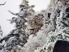 -秦岭风景区