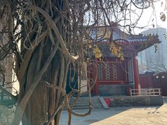 -北京艺术博物馆(万寿寺)