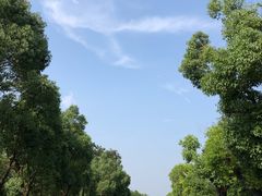 -南京市江宁方山