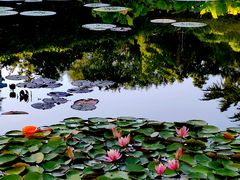 -国家植物园南园