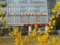 -滇釜火锅·能喝汤的火锅(车公庄店)