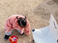 -济南国际园博园