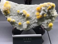 -中国地质大学逸夫博物馆