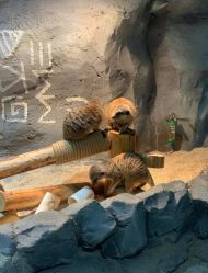 -Zoolung Zoolung动物主题公园(海信广场店)