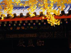 -红螺寺