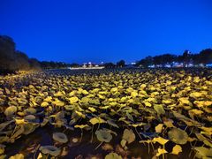 -长春市南湖公园