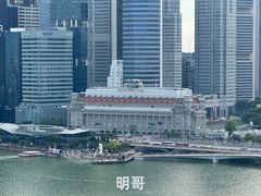 -新加坡丽思卡尔顿美年酒店
