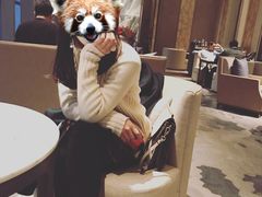 -悦厅·下午茶(杭州柏悦酒店)