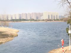 -洋湖国家湿地公园