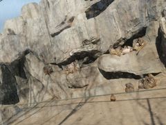 -大青山野生动物园