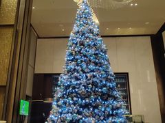 -深圳国际会展中心希尔顿酒店(前海华发冰雪世界店)