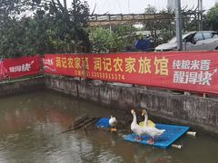 -润记农家菜